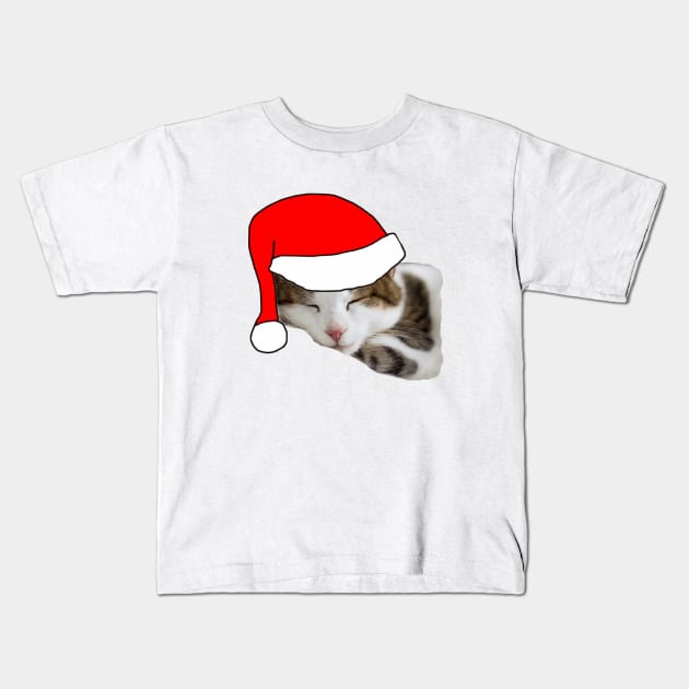 Christmas Cat in a Santa Hat Kids T-Shirt by Michelle Le Grand